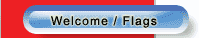Welcome Flags